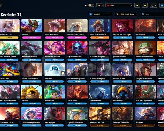 EUW/ 271 LVL + 85+120 SKİN + Bronz 1 OTO