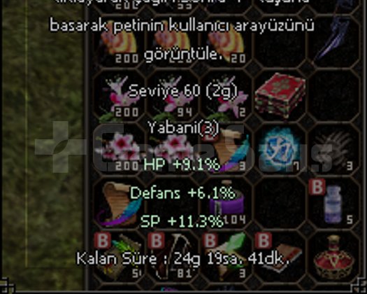 83 LVL KESKİNLİK P SURA AL BASLA