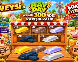 300 adet kalıp