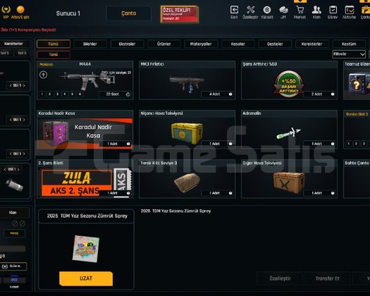 STEAM HESABI | M4A1+6 & SCOUT +5 44 LVL