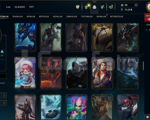 234 LEVEL / 111 SKİN / FUL HERO