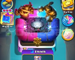 13k KUPA 26 EVRİM 1869 SEVİYE
