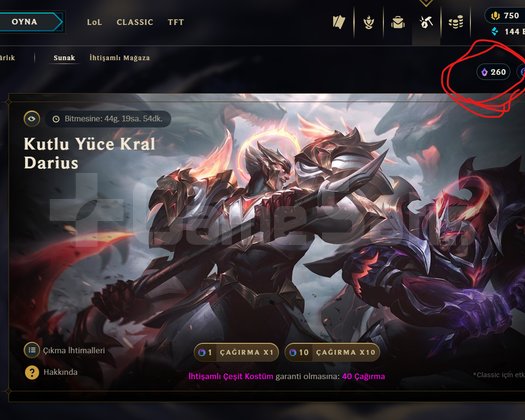 250SKİN 260 İHTİŞAMLI ÖZ PLAT4 ACİLLL