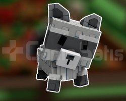 Grow A Garden Raccoon Pet