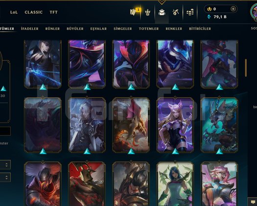 294 LVL + 105 KOSTÜM + 172 HERO + MAİL!