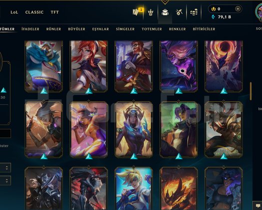294 LVL + 105 KOSTÜM + 172 HERO + MAİL!