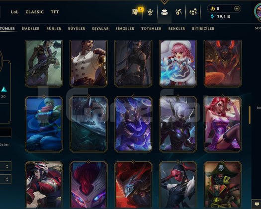 294 LVL + 105 KOSTÜM + 172 HERO + MAİL!