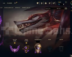 LOL EUW 820-850 LP MASTER HANDMADE HESAP
