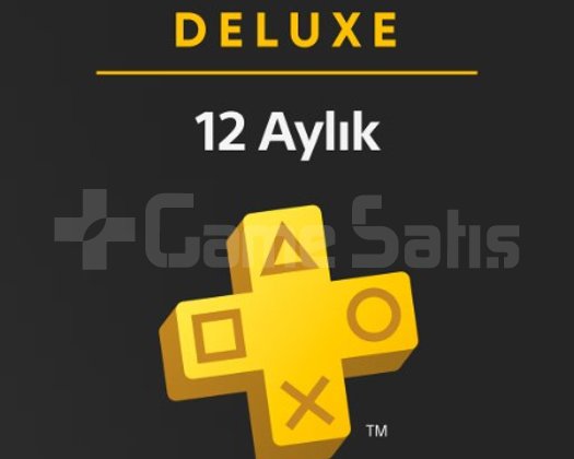 1 YILLIK PSN DELUXE ANA HESAP PS5 + GARA
