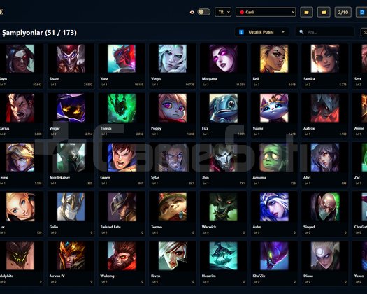 TR / 46 LVL + 9+3 SKİN + Gümüş 1 + OTO