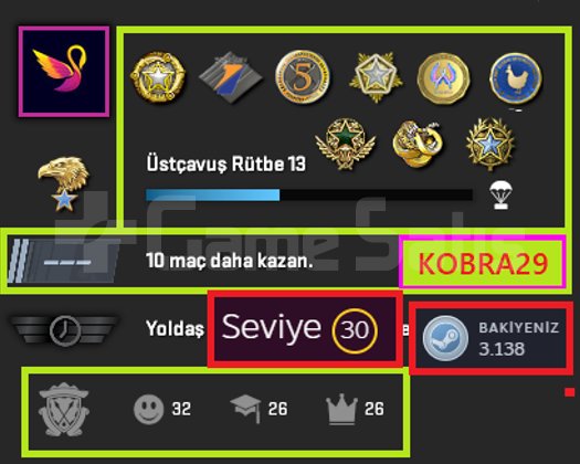 FACEİT+10 MADALYA 241 WİN 1576 SAAT