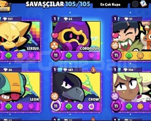 FULL KARAKTER MAX HESAP