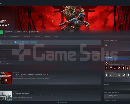 10 YILLIK DOLU DOLU STEAM HESABI