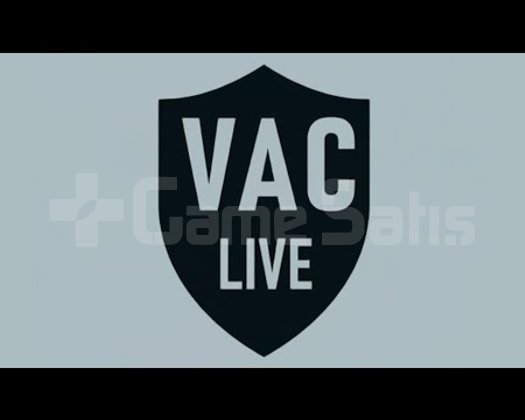 CS2 VACLIVE INCELEME ERİŞİMİ