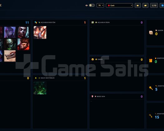 TR / 113 LVL + 40 SKİN + Derecesiz + OTO