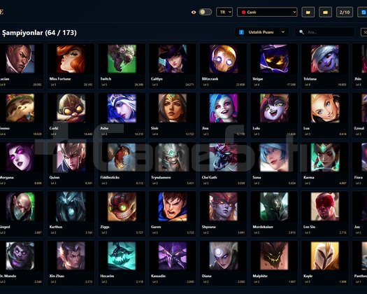 TR / 113 LVL + 40 SKİN + Derecesiz + OTO