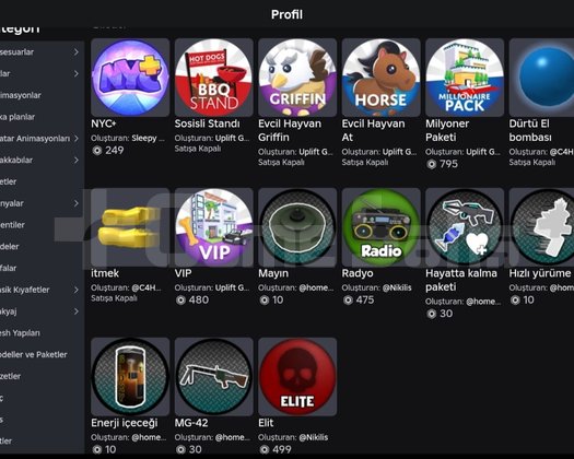 Dolu Roblox Hesabı | Bol Gamepass