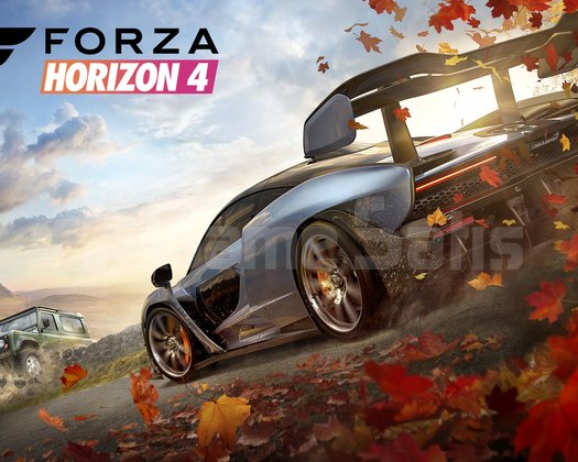 Forza Horizon 4-5-6 Dahil Steam Hesabı