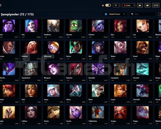 TR / 69 LVL + 38 SKİN + Derecesiz + OTO
