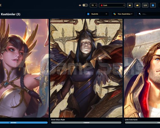 TR / 31 LVL + 3 SKİN + RANK HAZIR + OTO