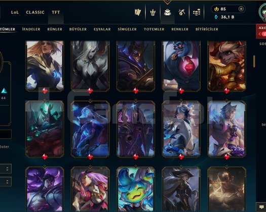326 LEVEL / 113 SKİN / 127 HERO