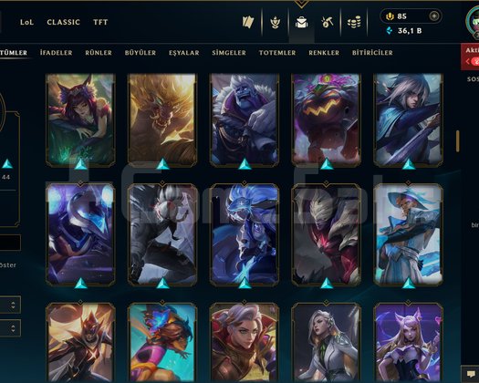 326 LEVEL / 113 SKİN / 127 HERO