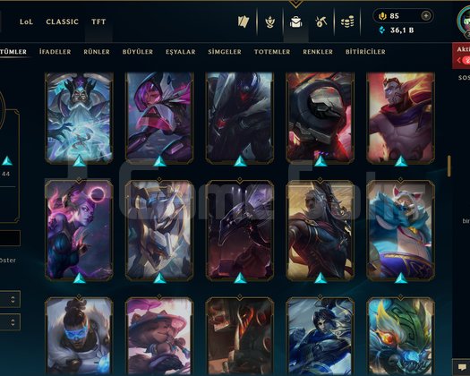 326 LEVEL / 113 SKİN / 127 HERO