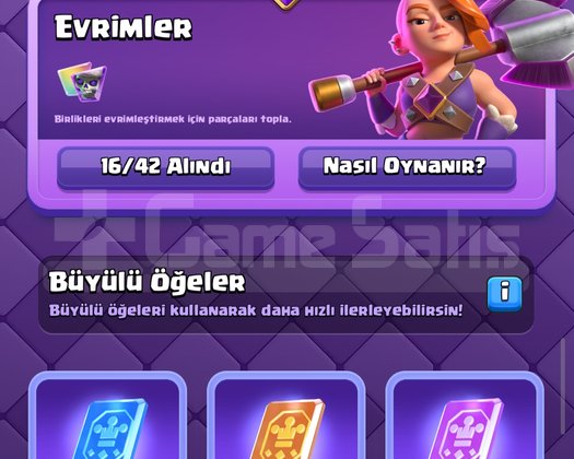 1621 Level, 14755 Taş, Full Kupa