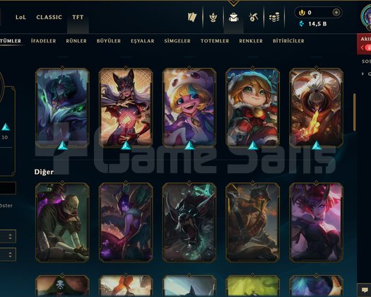 134 LEVEL / 33 SKİN / 118 HERO