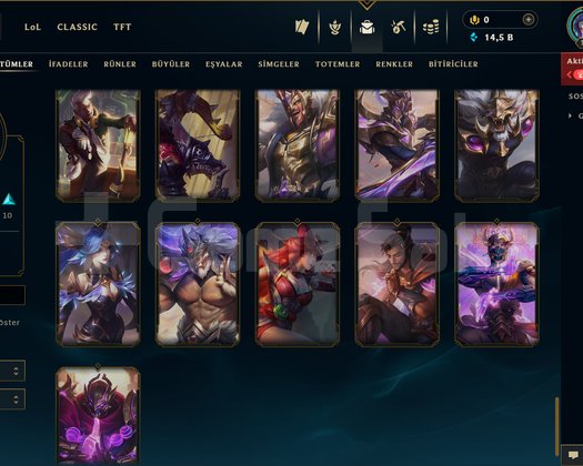 134 LEVEL / 33 SKİN / 118 HERO