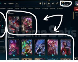 134 LEVEL / 33 SKİN / 118 HERO
