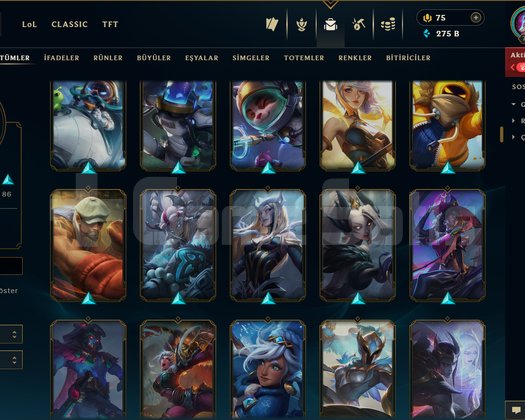 758 LEVEL / 209 SKİN / FUL HERO