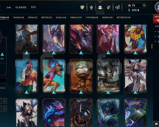 758 LEVEL / 209 SKİN / FUL HERO