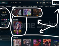 309 LEVEL / 130 SKİN / 172 HERO