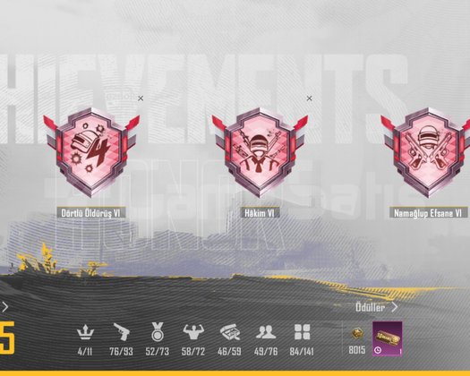 230 Destansı 74 Koleksiyon acil satılık