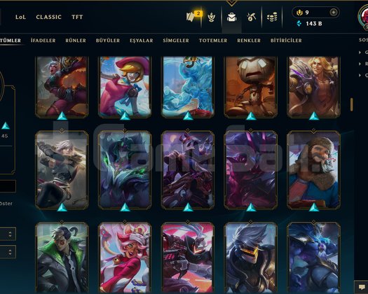 TR / 222 LEVEL / 154 SKİN / 172 HERO