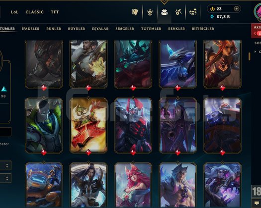 214 LEVEL / 209 SKİN / FUL HERO