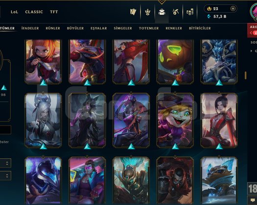 214 LEVEL / 209 SKİN / FUL HERO