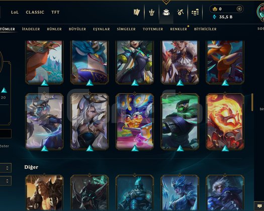 191 LEVEL / 60 SKİN / 172 HERO