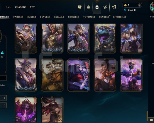 191 LEVEL / 60 SKİN / 172 HERO