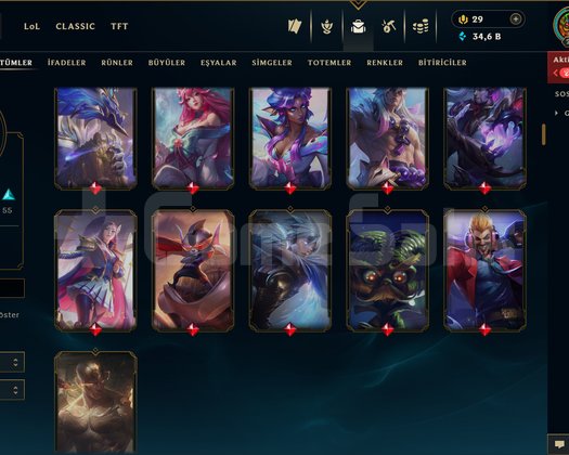 272 LEVEL / 141 SKİN / 172 HERO