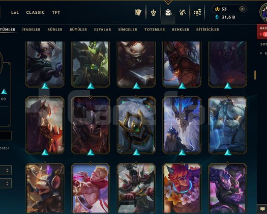 500 LEVEL / 156 SKİN / FUL HERO