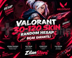 30120 Skinli Random Valorant Hesap