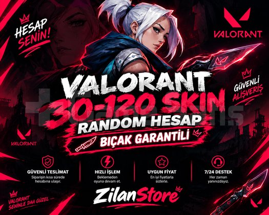 30120 Skinli Random Valorant Hesap