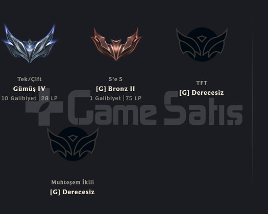 EUW - 383 LEVEL - 116 KOSTÜM - GÜMÜŞ 4