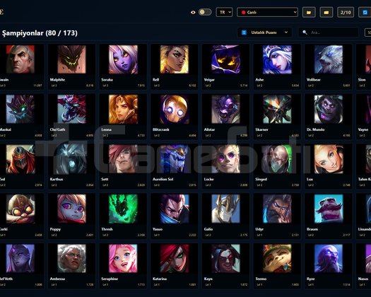 TR / 35 LVL + 4+1 SKİN + Altın 2 + OTO