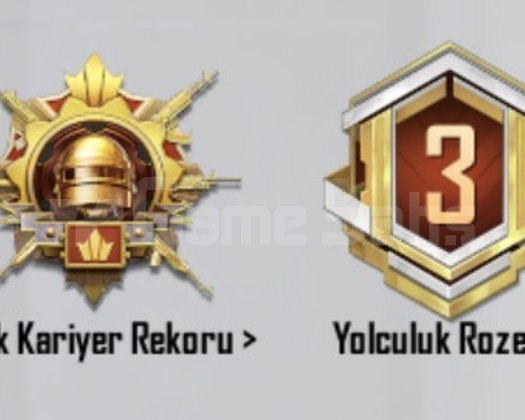 69KOL-TEKBAG MAİL-S4YÜZ-KOMBİN-KRTNKELE