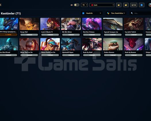 TR / 191 LVL + 71 SKİN + Altın 3