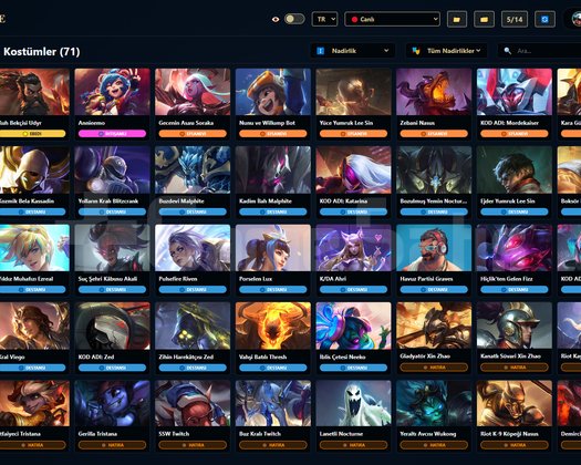 TR / 191 LVL + 71 SKİN + Altın 3
