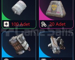 PvP 3 Hayatta - Kalkan - Bitkisel - Dold